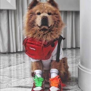 Meet your Posher, Kevin